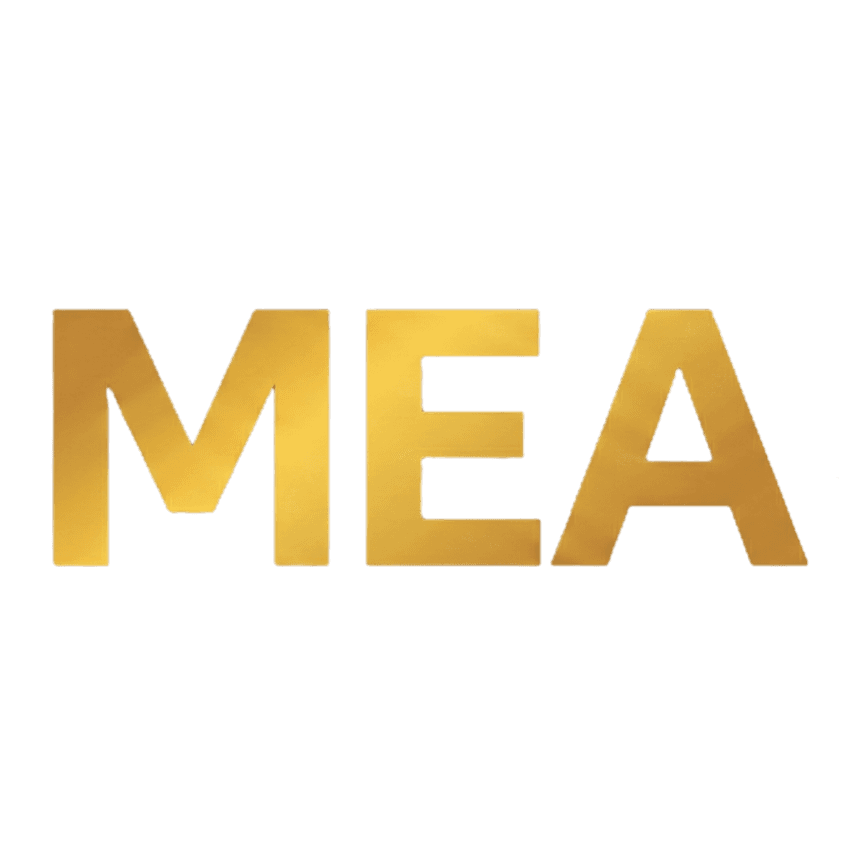 Meanings Cultural Insights Platform logo