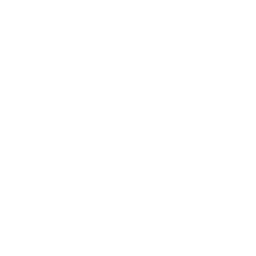 Last Night Digital Photo Sharing startup logo on Aura++