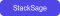 StackSage Cloud Audit Tool startup logo on Aura++
