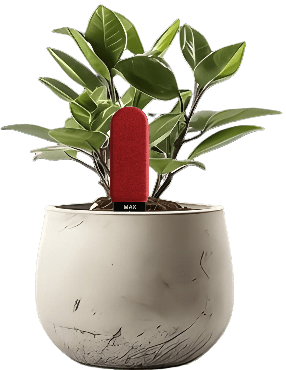 JPAB Garden - Smart Plant Sensor - Product Image