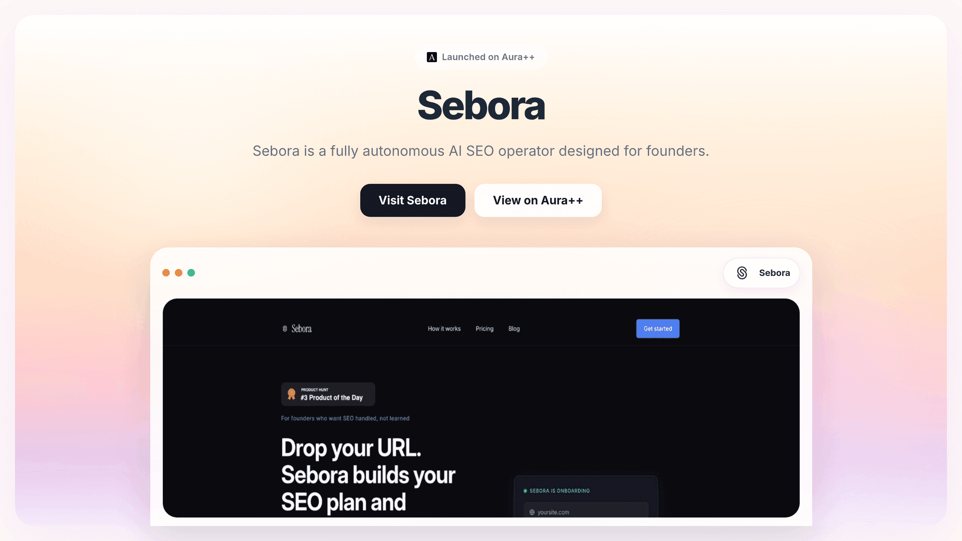 Boost SEO Rankings Effortlessly with Sebora's AI Automation