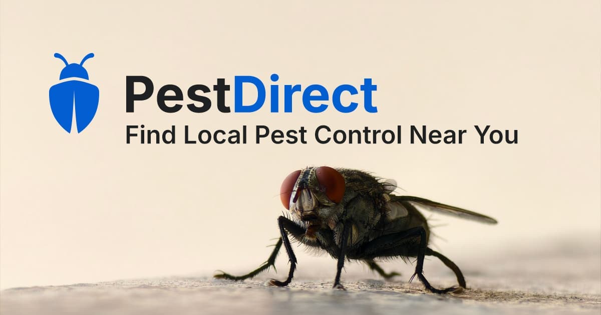 Pest Control Company Comparison Platform
