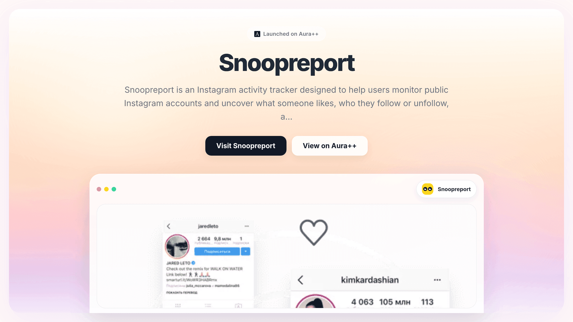 Understand Instagram Behavior with Snoopreport's AI Insights