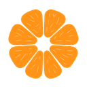 xpomelo logo