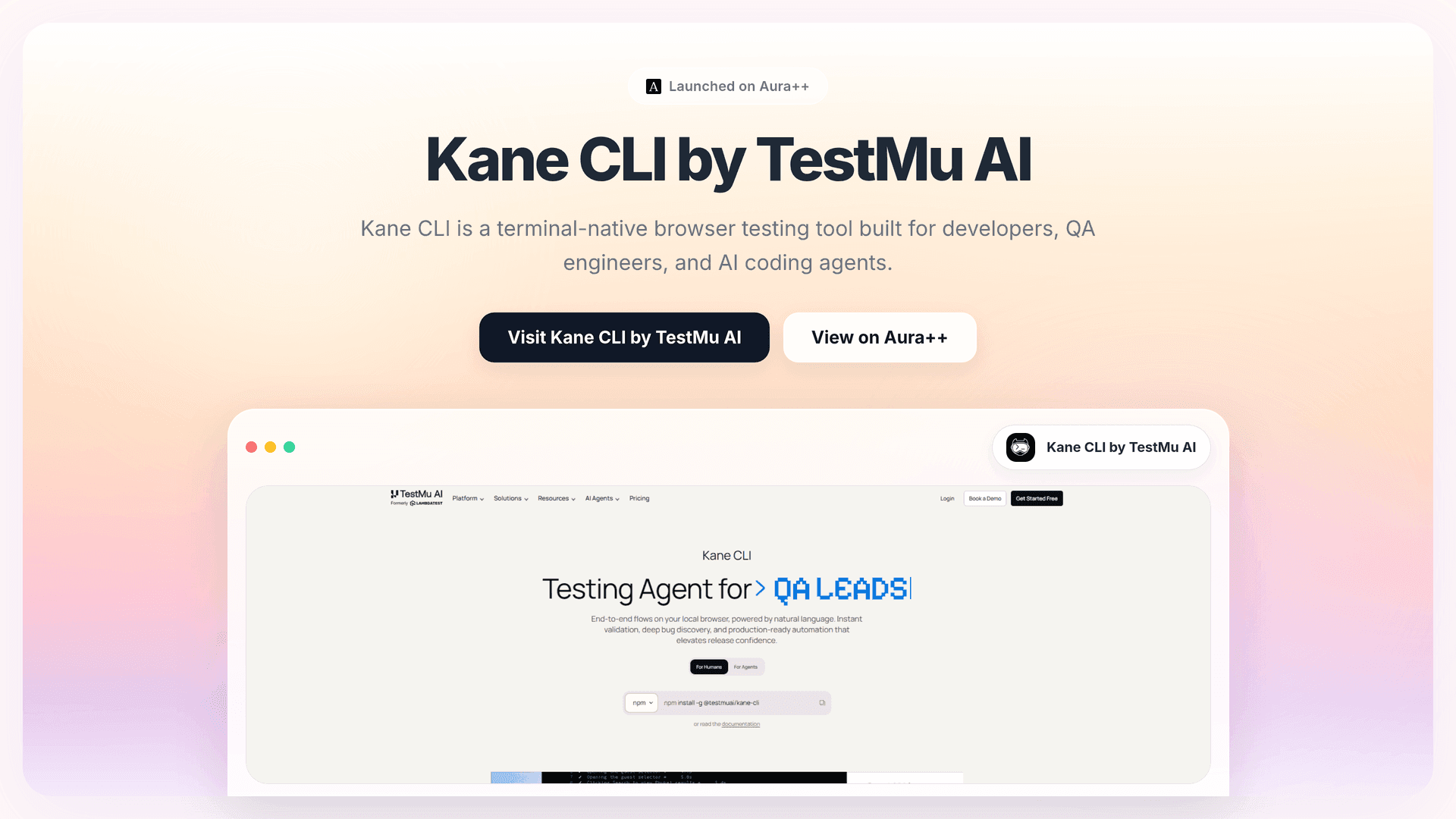 Kane CLI by TestMu AI