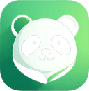 IdeaPanda startup logo on Aura++