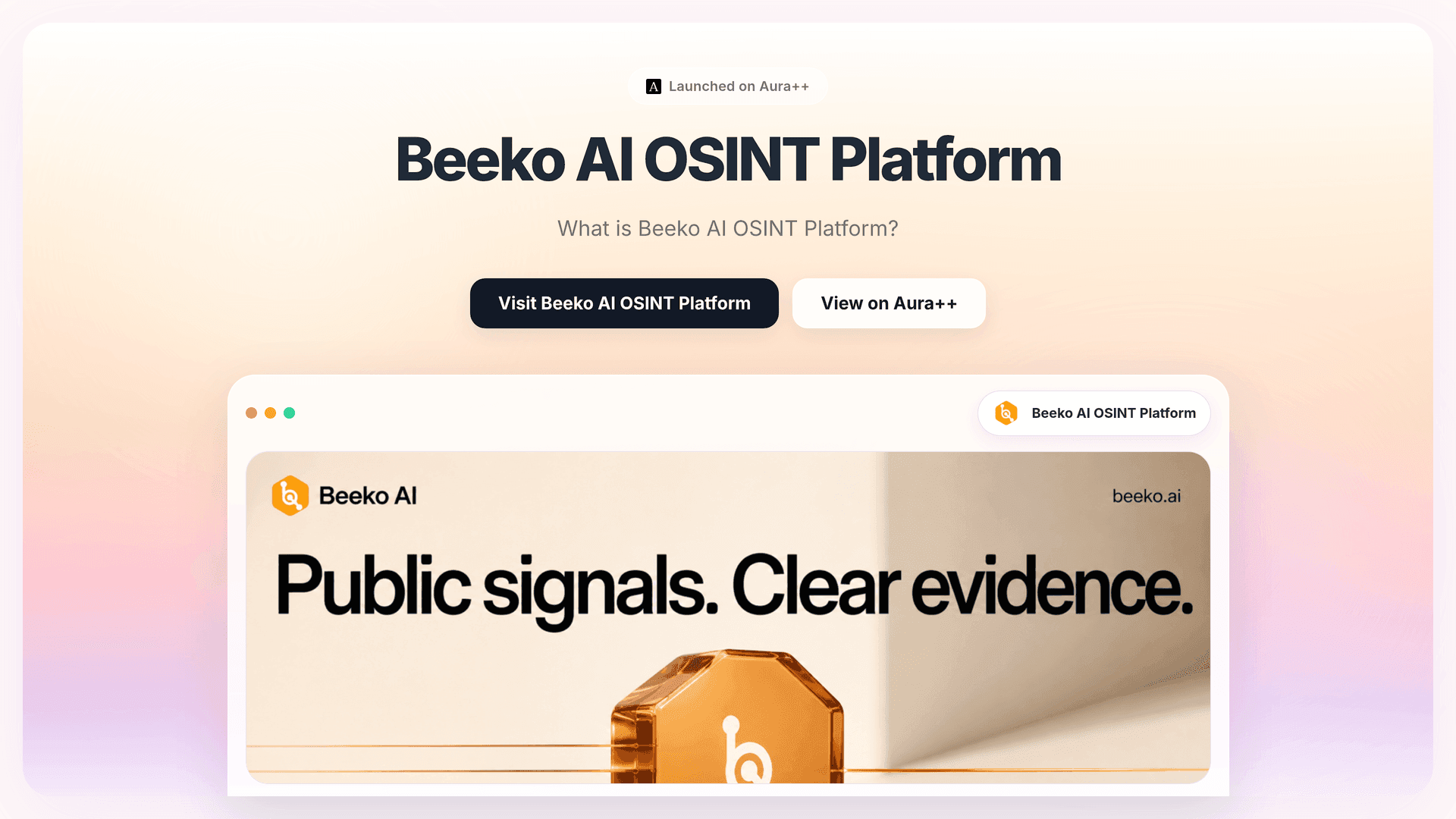 Enhancing OSINT Investigations: Beeko AI's Privacy-First Approach