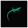 Lizard logo