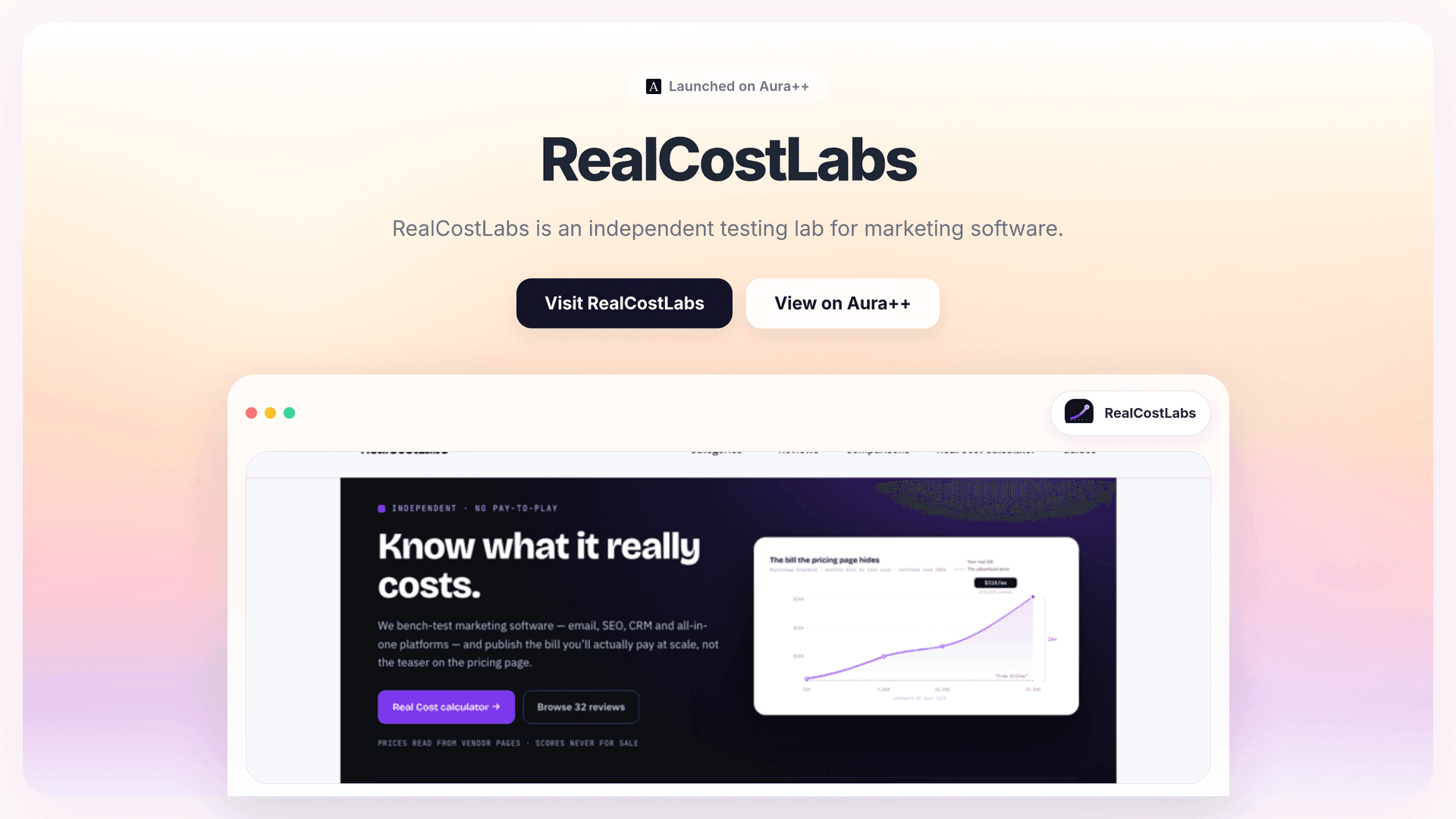 Uncover Hidden Marketing Costs with RealCostLabs' Insights