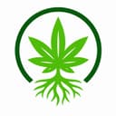 MySeeds startup logo on Aura++