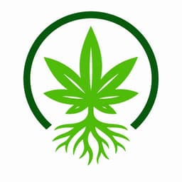 MySeeds startup logo on Aura++