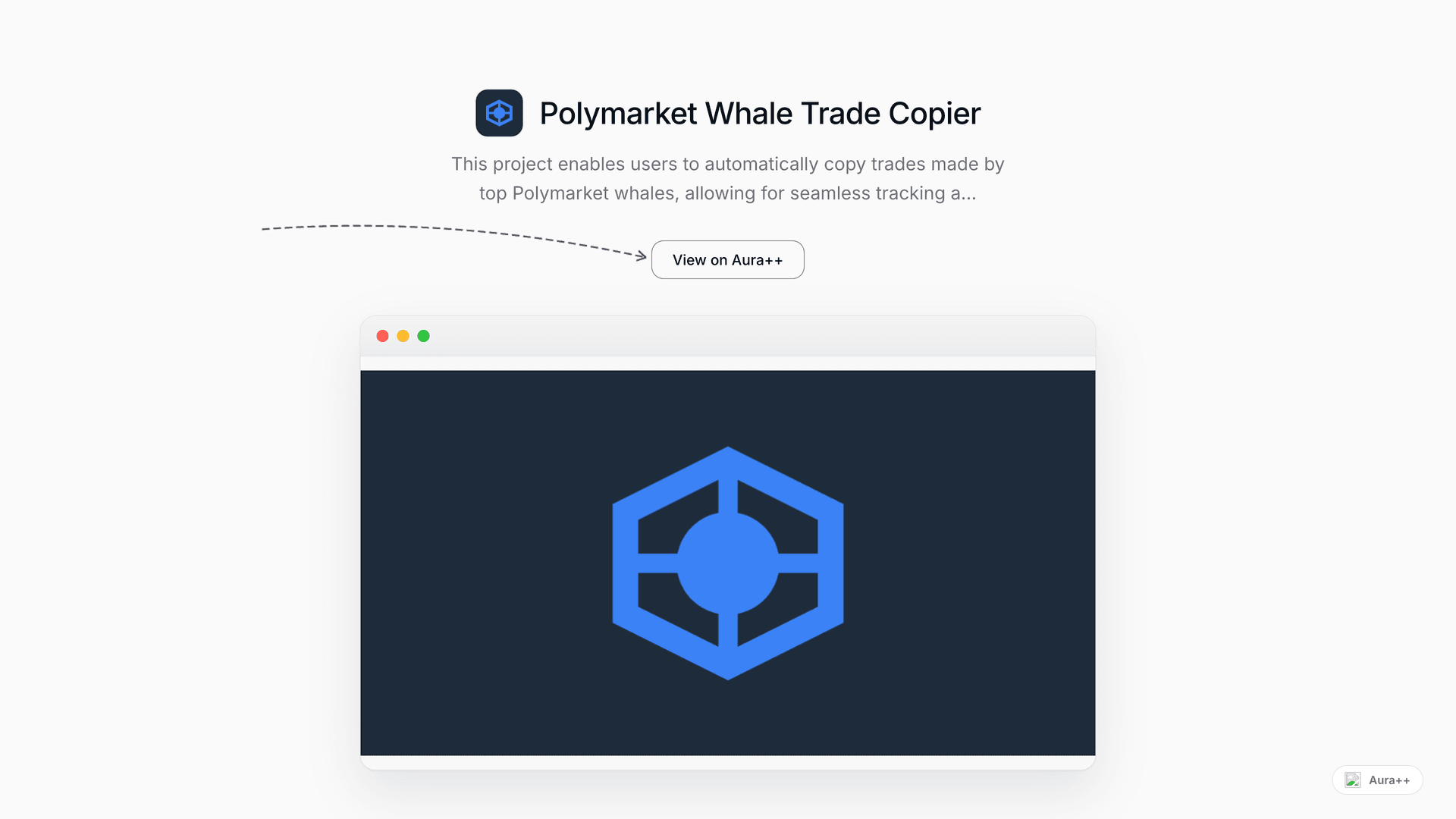 Polymarket Whale Trade Copier