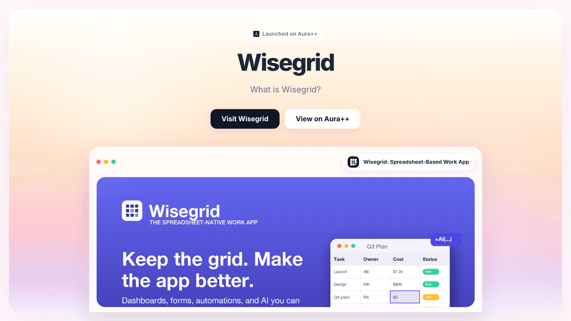 Wisegrid: Spreadsheet-Based Work App