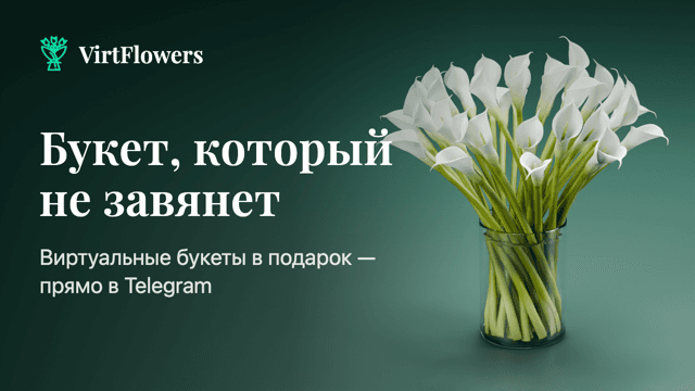 VirtFlowers product preview for startup listing on Aura++
