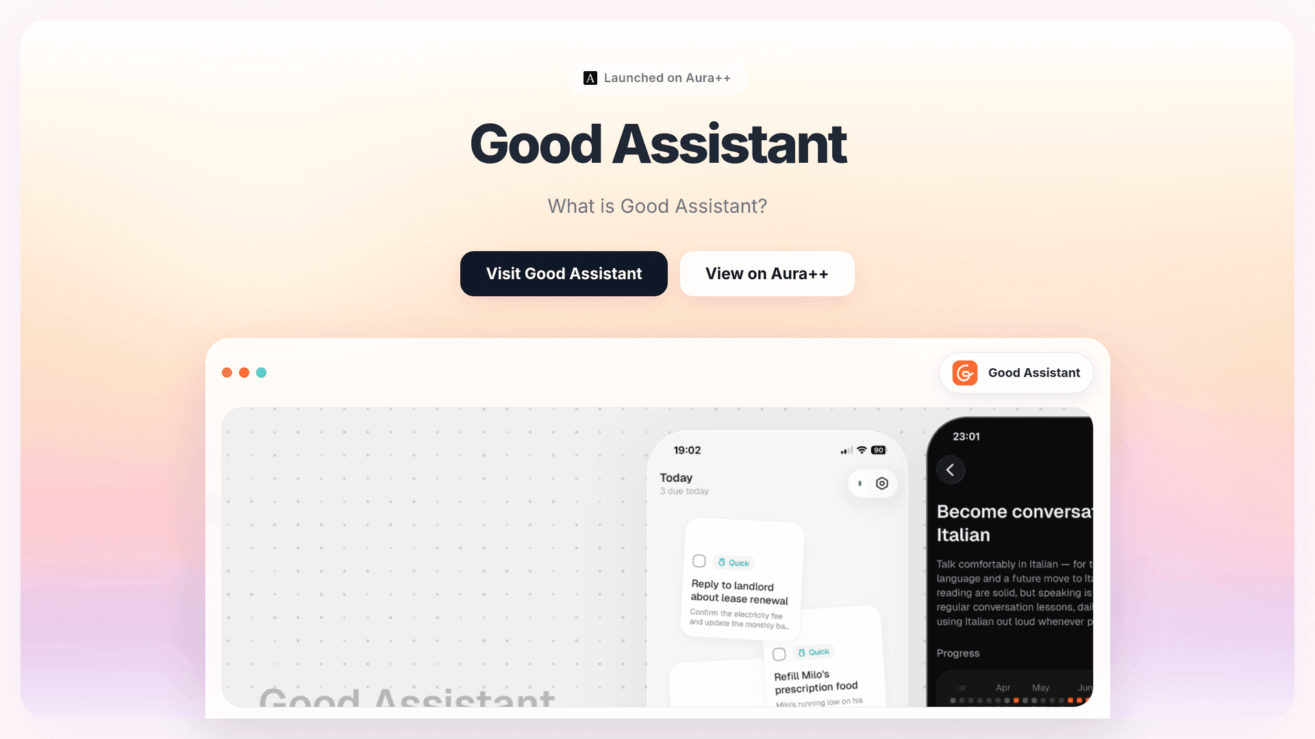 Good Assistant
