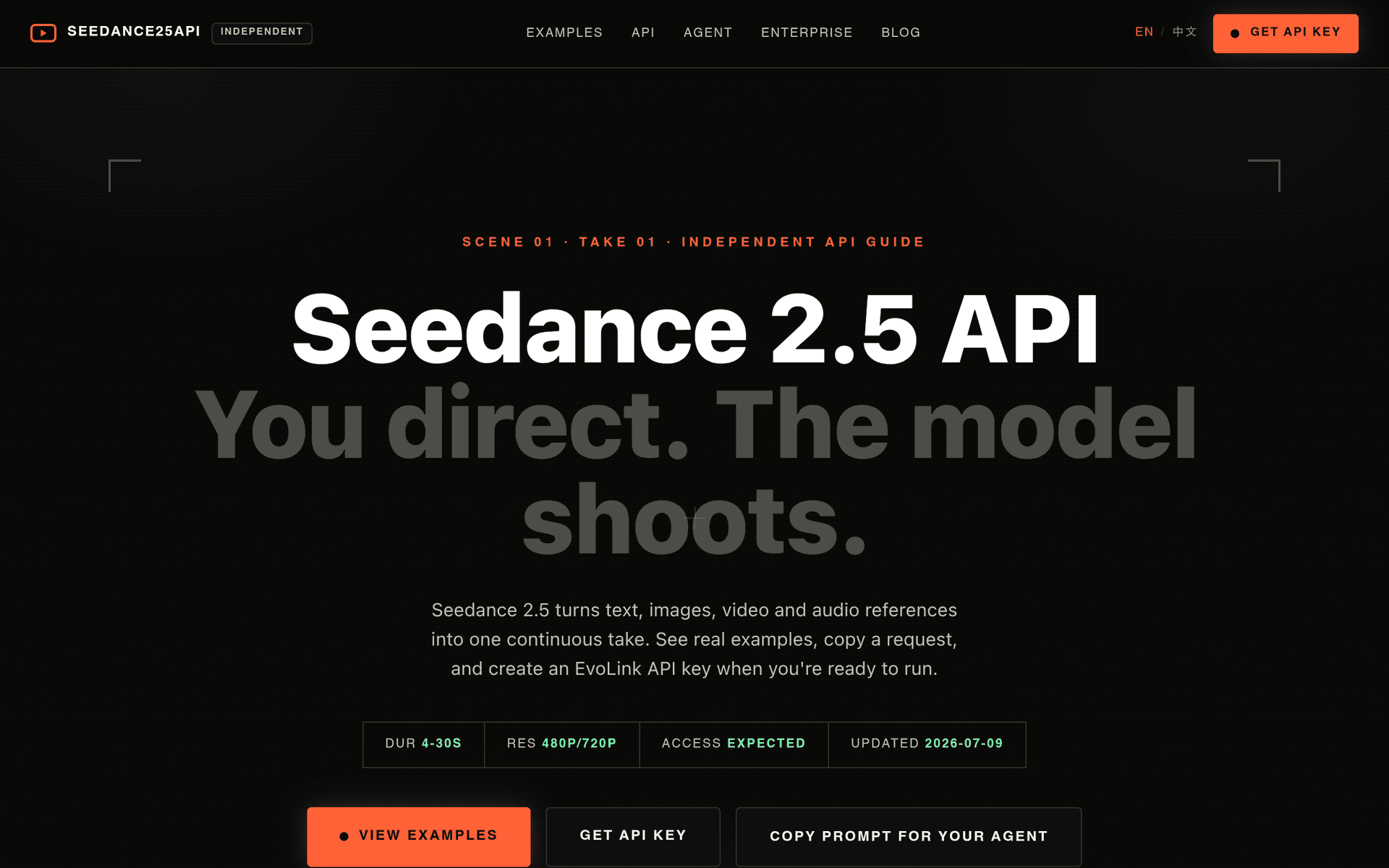 Seedance 2.5 API product preview for startup listing on Aura++