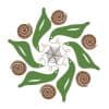 Anvitam startup logo on Aura++