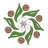 Anvitam logo