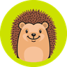 SolveHog startup logo on Aura++