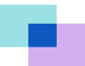 Layer Nutrition: Medication Support & Supplements logo