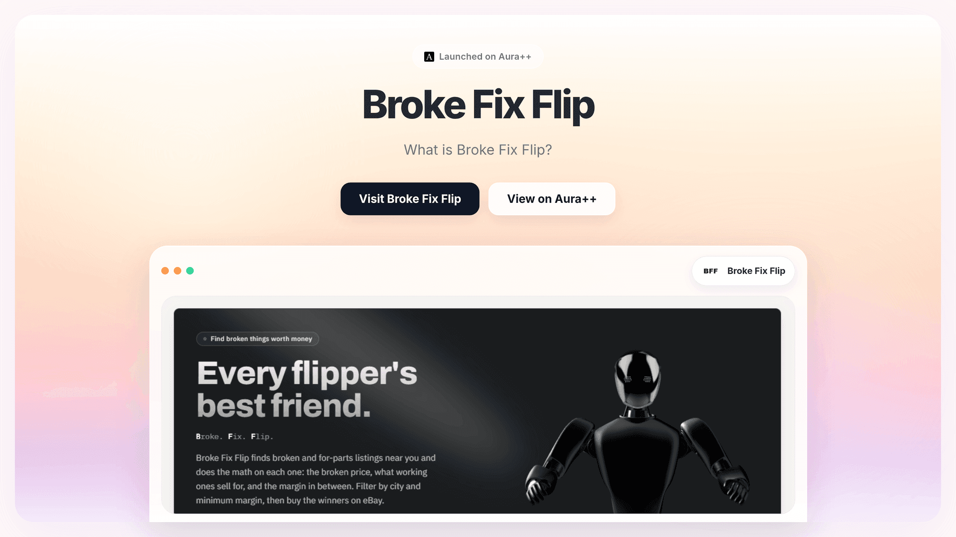 Broke Fix Flip