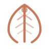 Conscious Events Platform logo