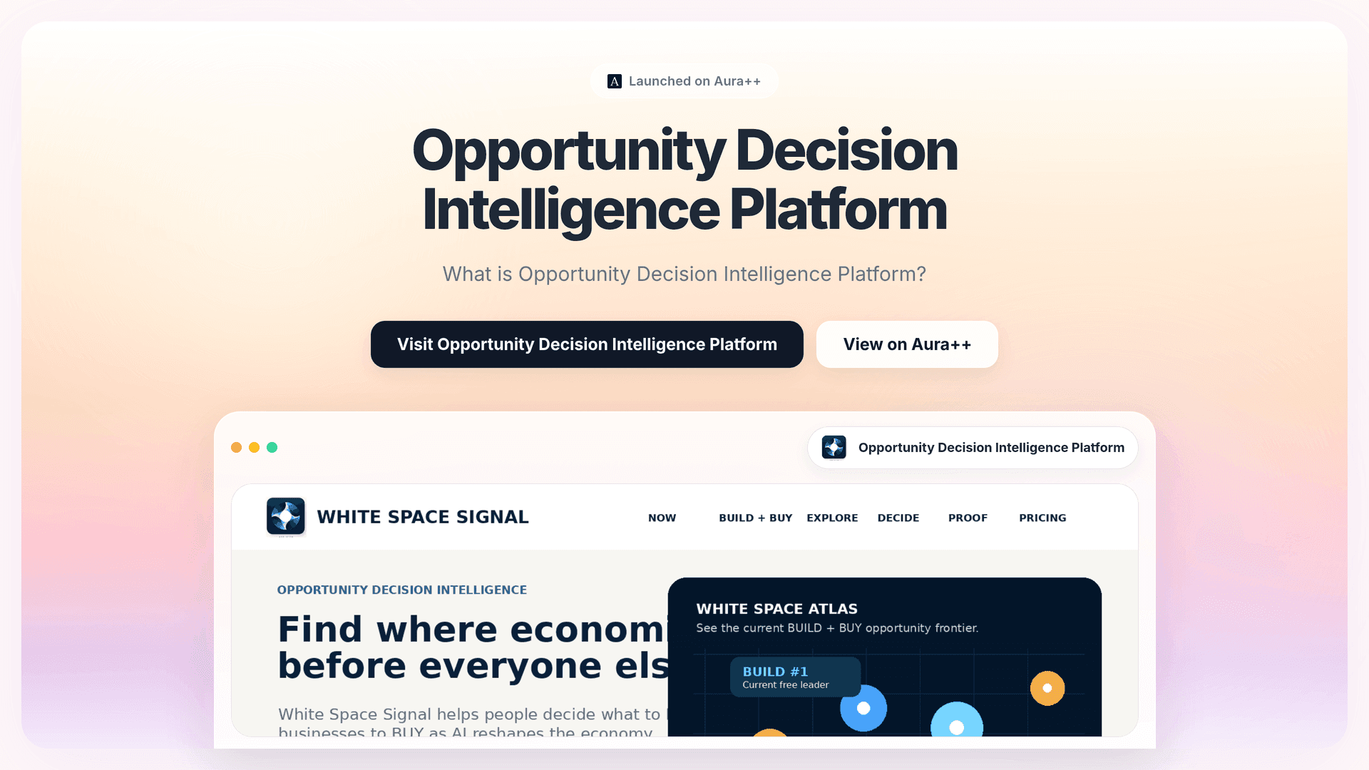 AI-Driven Business Opportunities: Insights from Opportunity Decision Intelligence