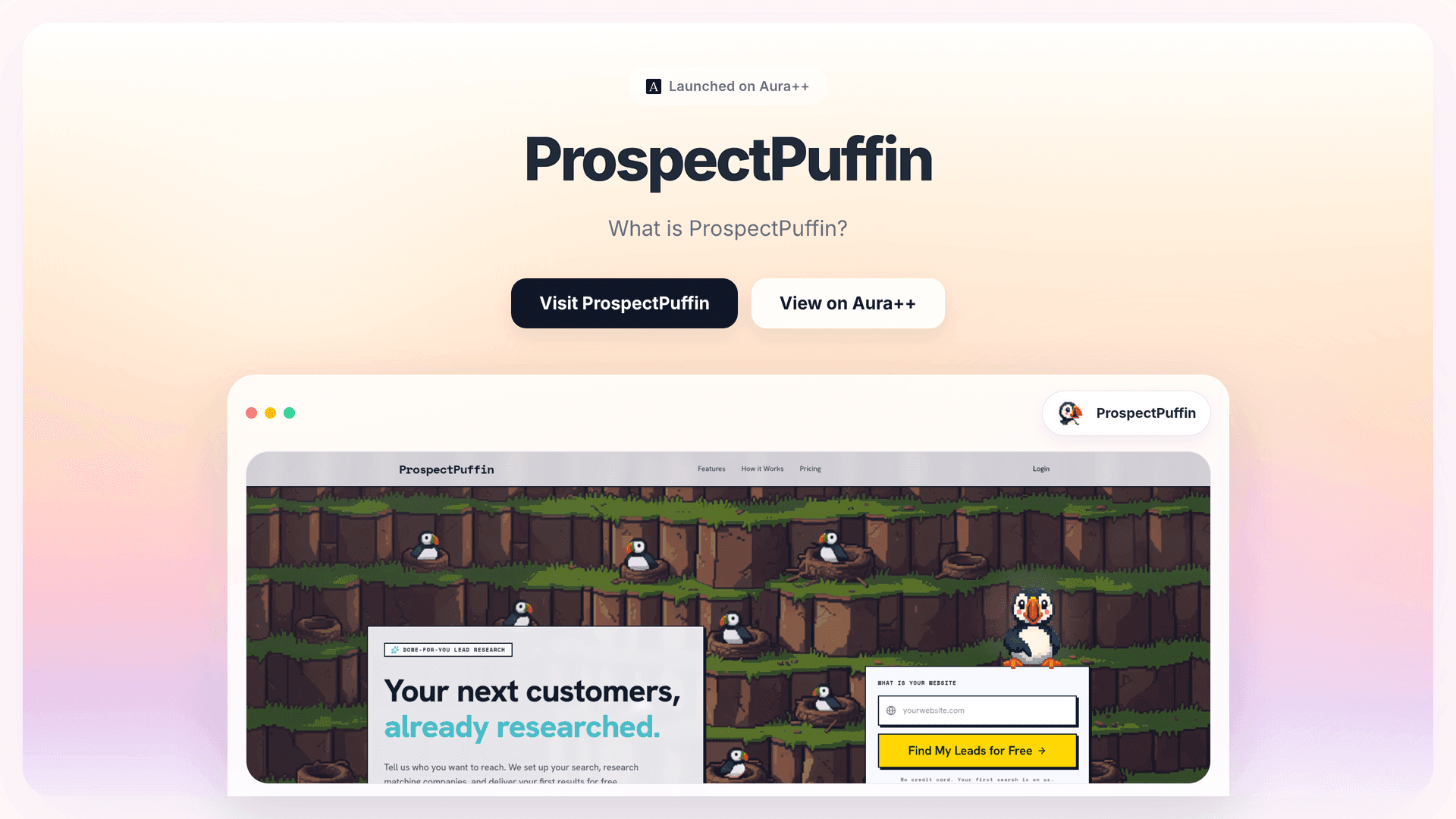 ProspectPuffin