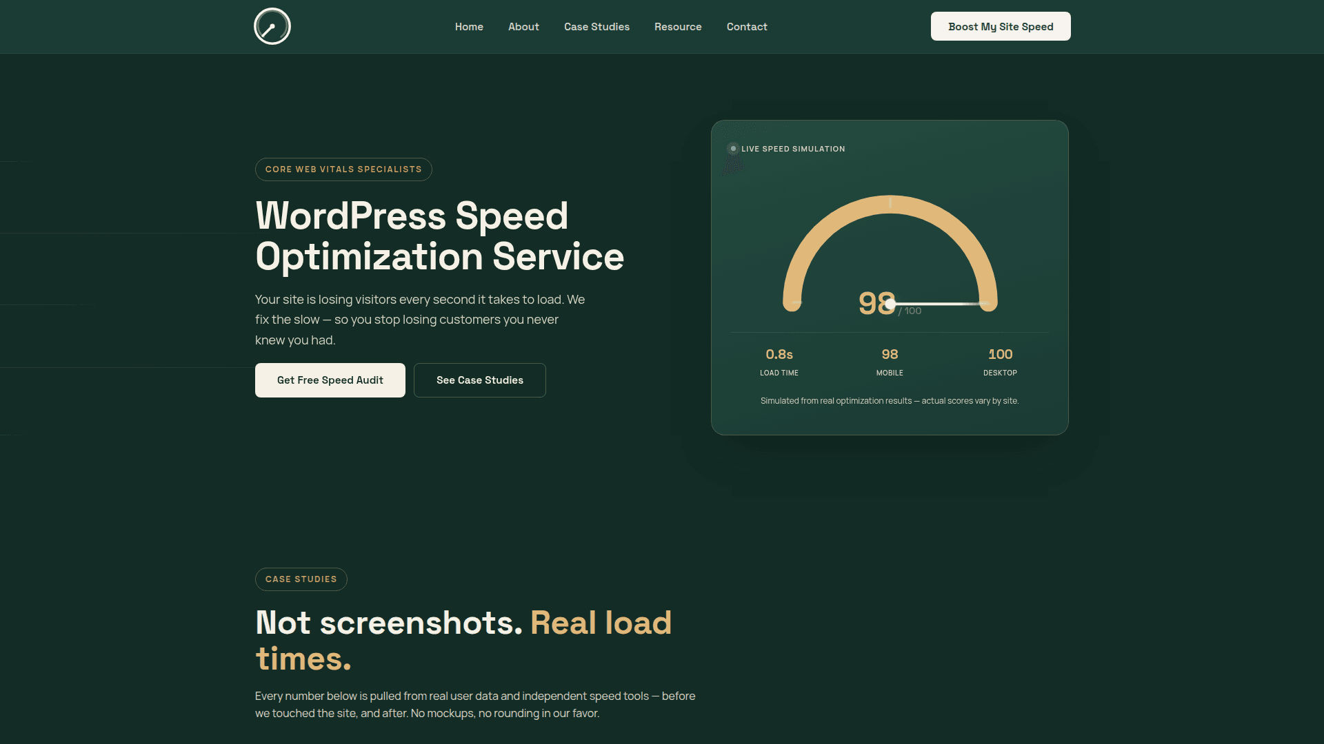 WordPress Speed Optimization Service product preview for startup listing on Aura++