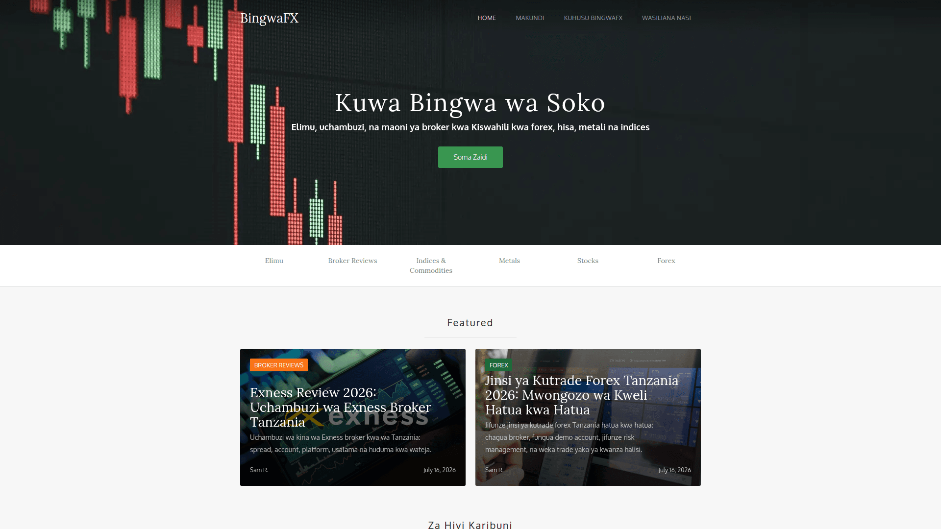 BingwaFX Forex & Stock Trading Guide product preview for startup listing on Aura++