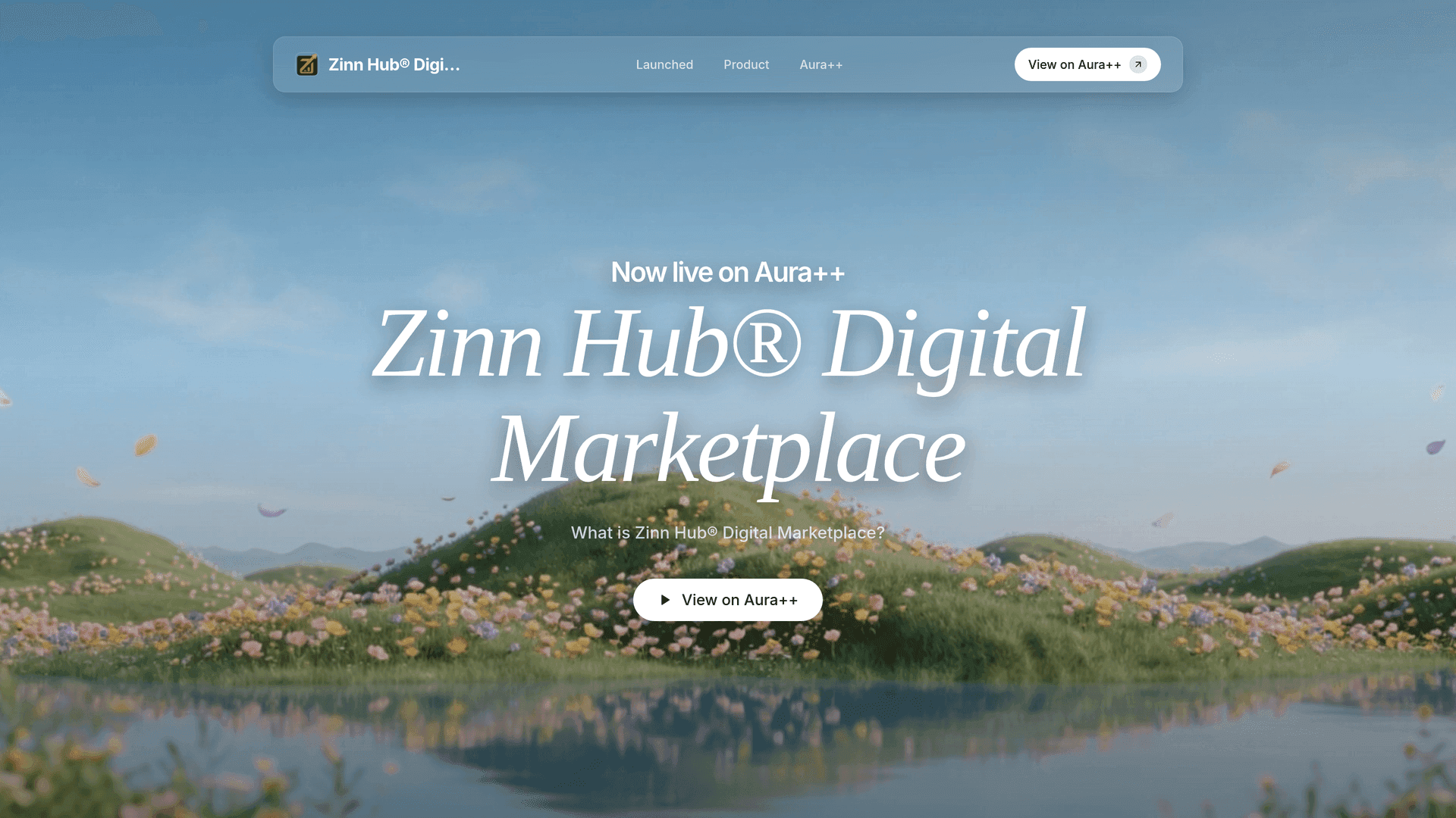 Exploring Zinn Hub®: A Fair Marketplace for Digital Services