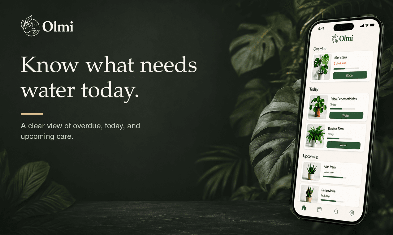 Olmi product preview for startup listing on Aura++