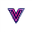 Vidgo AI logo