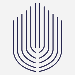 nlh.poker startup logo on Aura++