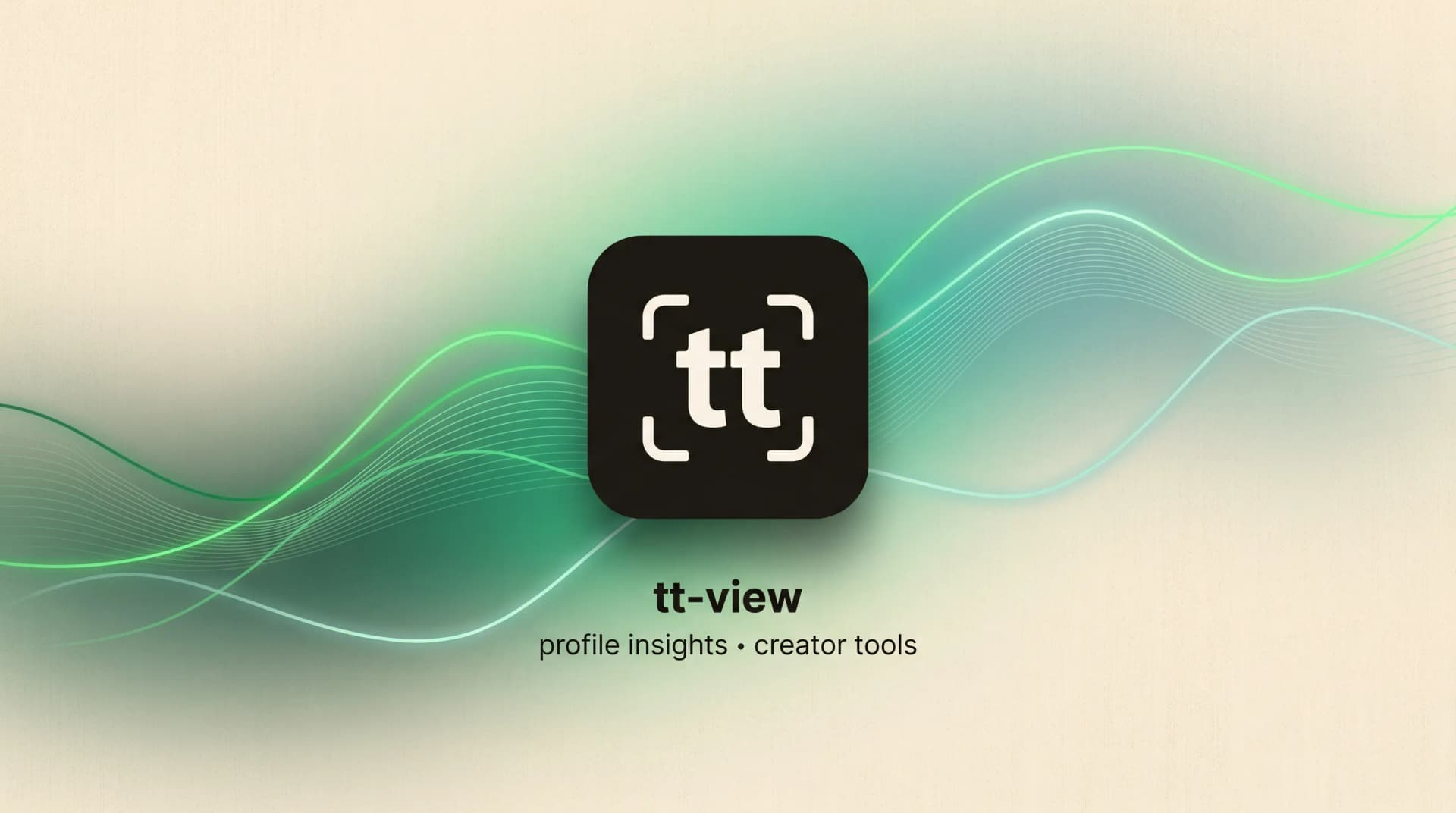 TikTok Profile Viewer Tool - Product Image