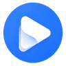 vid2vid logo