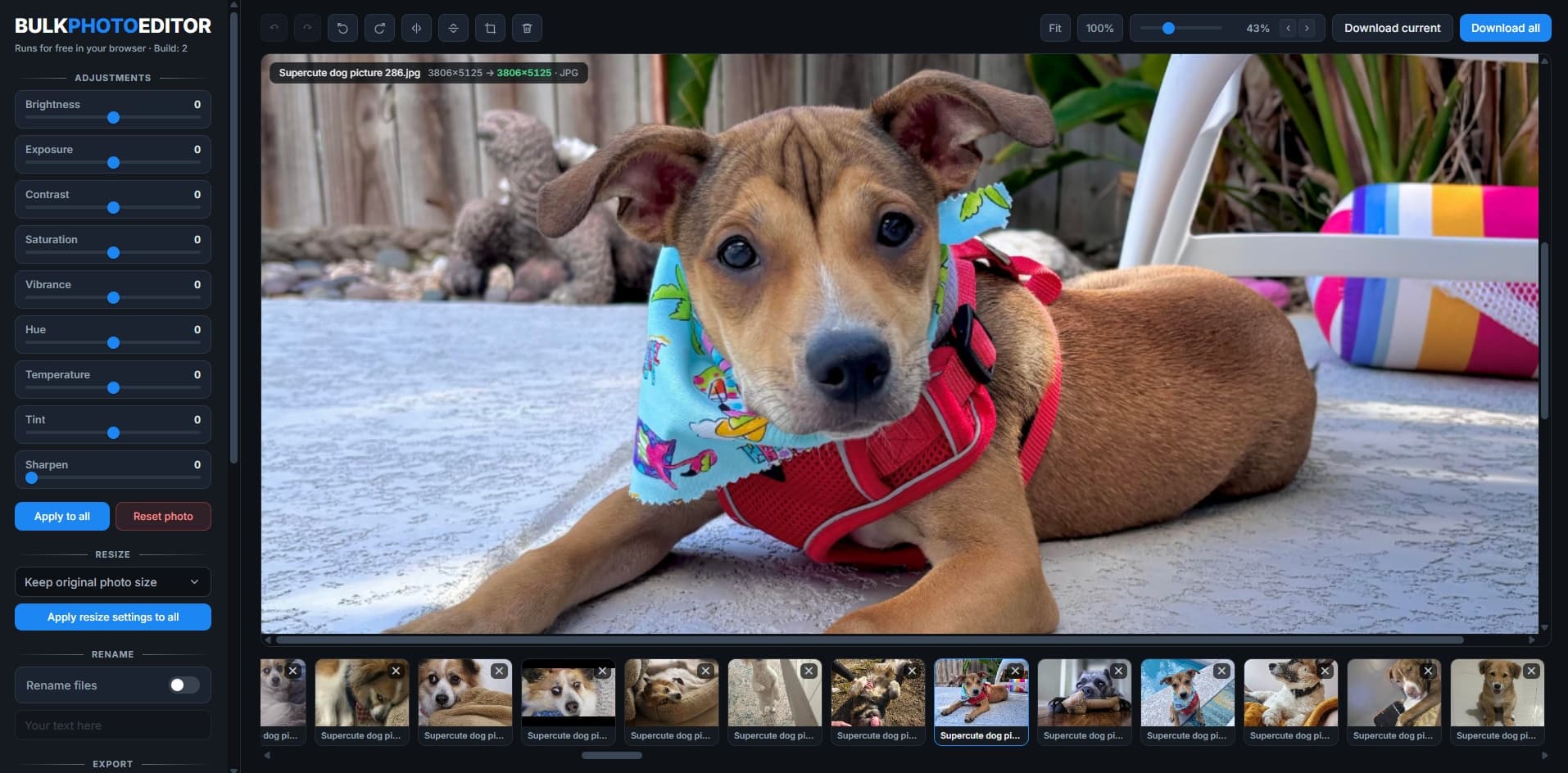 Bulk Photo Editor product preview for startup listing on Aura++
