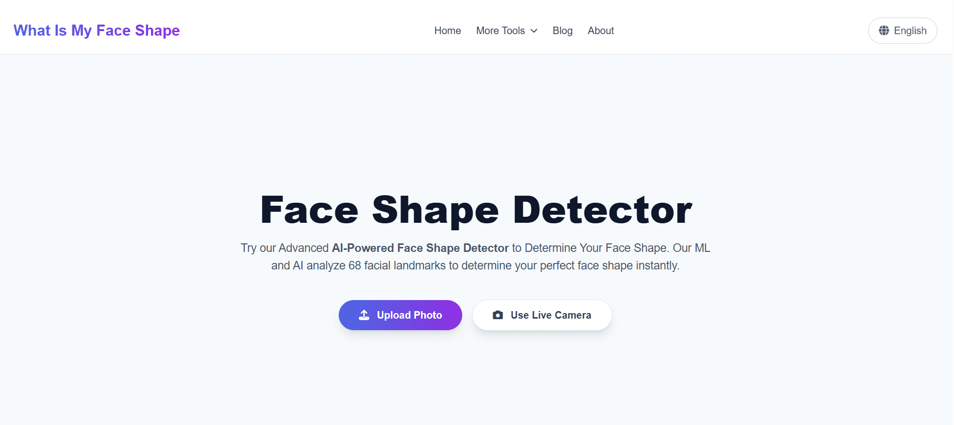 AI Face Shape Analyzer - Product Image