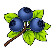 Blueberry Loom startup logo on Aura++