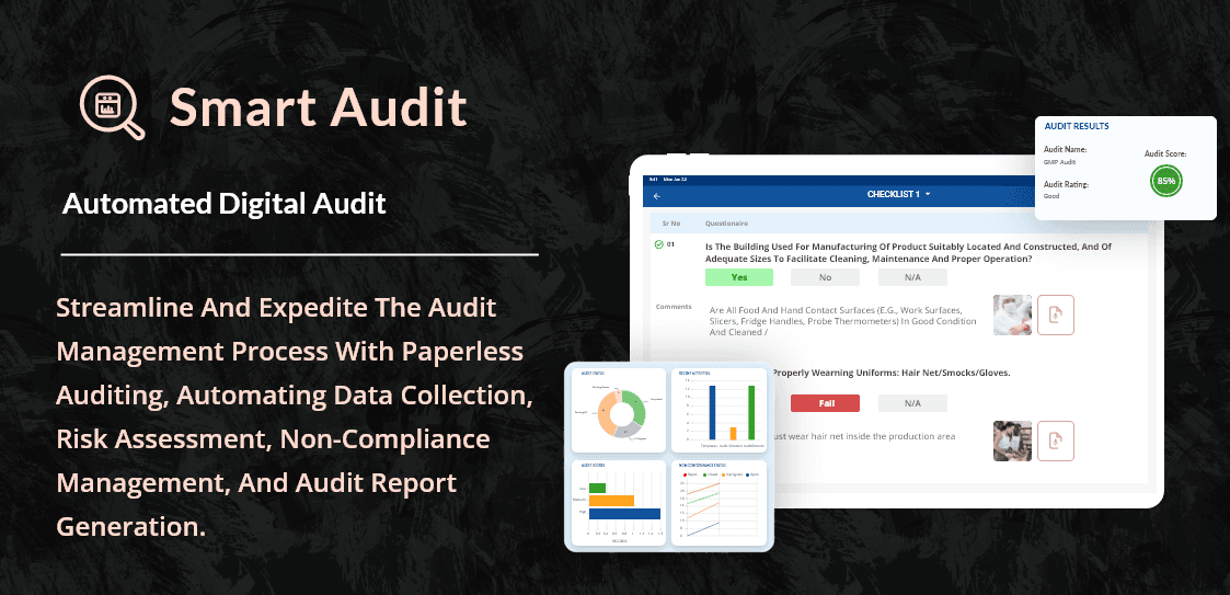 Smart Audit - Comprehensive Audit Management Software - Product Image