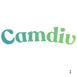 camdiv startup logo on Aura++