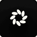 Rankpad - AI Brand Visibility Tracker Logo