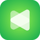 Anyvids AI Video & Image Platform Logo