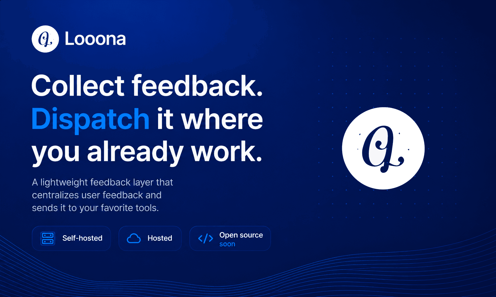 Looona - Product Image